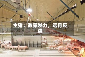生猪：政策发力，远月反弹