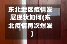 东北地区疫情发展现状如何(东北疫情再次爆发)