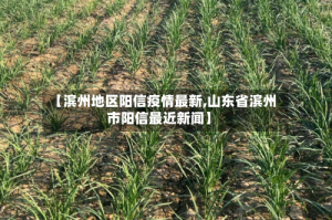 【滨州地区阳信疫情最新,山东省滨州市阳信最近新闻】