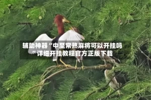 辅助神器“中至常熟麻将可以开挂吗”详细开挂教程官方正版下载