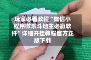玩家必看教程“微信小程序微乐斗地主必赢软件”详细开挂教程官方正版下载