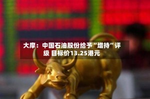 大摩：中国石油股份给予“增持”评级 目标价13.25港元