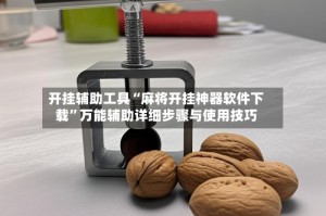 开挂辅助工具“麻将开挂神器软件下载”万能辅助详细步骤与使用技巧