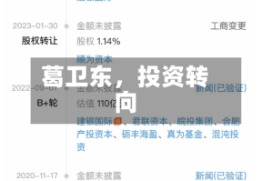 葛卫东，投资转向