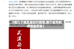 【哪几个地区最抗打疫情,哪个城市的疫情最厉害】