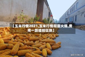 【玉米行情2021,玉米行情彻底火爆,费用一路插翅狂飙】