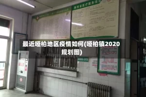 最近哑柏地区疫情如何(哑柏镇2020规划图)