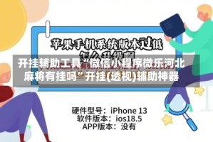 开挂辅助工具“微信小程序微乐河北麻将有挂吗”开挂(透视)辅助神器