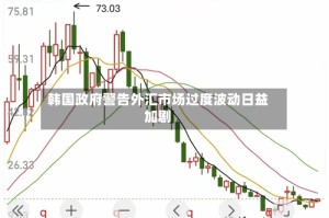 韩国政府警告外汇市场过度波动日益加剧