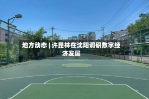 地方动态 | 许昆林在沈阳调研数字经济发展