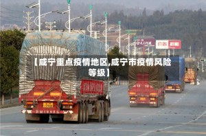 【咸宁重点疫情地区,咸宁市疫情风险等级】