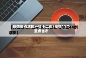 疫情重点地区一省十二市/疫情11个重点省市