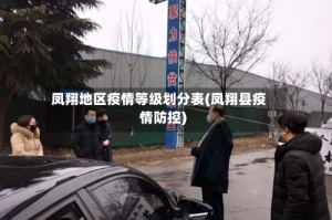 凤翔地区疫情等级划分表(凤翔县疫情防控)