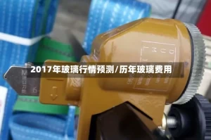 2017年玻璃行情预测/历年玻璃费用