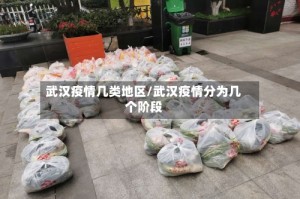 武汉疫情几类地区/武汉疫情分为几个阶段