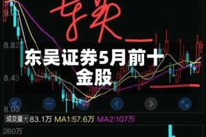 东吴证券5月前十金股