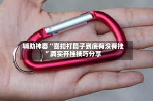 辅助神器“喜扣打筒子到底有没有挂”真实开挂技巧分享