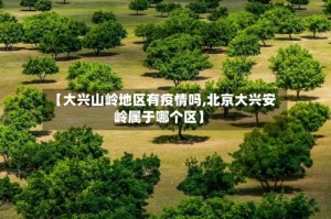 【大兴山岭地区有疫情吗,北京大兴安岭属于哪个区】