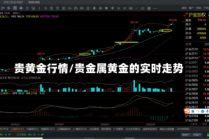 贵黄金行情/贵金属黄金的实时走势