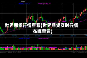 世界期货行情查看(世界期货实时行情在哪里看)