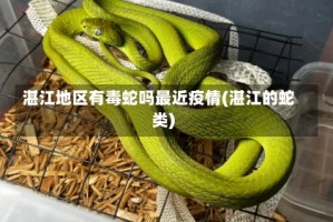 湛江地区有毒蛇吗最近疫情(湛江的蛇类)