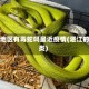 湛江地区有毒蛇吗最近疫情(湛江的蛇类)