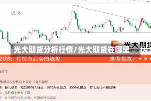 光大期货分析行情/光大期货在哪里