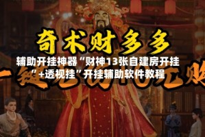 辅助开挂神器“财神13张自建房开挂”+透视挂”开挂辅助软件教程