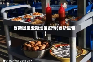 塞斯图里亚斯地区疫情(塞斯里奇)