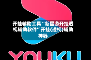 开挂辅助工具“新星游开挂透视辅助软件”开挂(透视)辅助神器