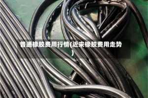 普通橡胶费用行情(近来橡胶费用走势)