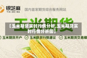 【玉米期货实时行情分析,玉米期货实时行情分析图】