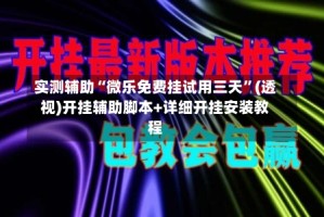 实测辅助“微乐免费挂试用三天”(透视)开挂辅助脚本+详细开挂安装教程