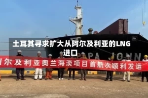 土耳其寻求扩大从阿尔及利亚的LNG进口