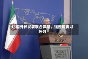 11国外长发表联合声明，强烈谴责以色列