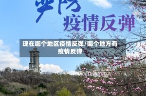 现在哪个地区疫情反弹/哪个地方有疫情反弹