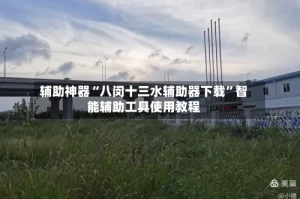 辅助神器“八闵十三水辅助器下载”智能辅助工具使用教程