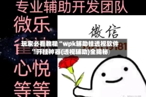 玩家必看教程“wpk辅助挂透视软件”开挂神器{透视辅助}全揭秘
