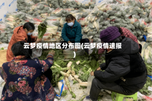 云梦疫情地区分布图(云梦疫情速报)