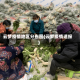 云梦疫情地区分布图(云梦疫情速报)