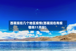 西藏现在几个地区疫情(西藏现在有疫情吗11月份)