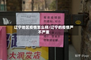 辽宁地区疫情怎么样/辽宁的疫情严不严重