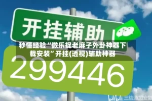 秒懂经验“微乐捉老麻子外卦神器下载安装”开挂(透视)辅助神器