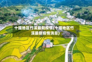 十堰地区竹溪最新疫情(十堰地区竹溪最新疫情消息)