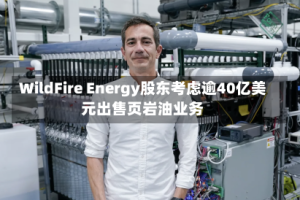 WildFire Energy股东考虑逾40亿美元出售页岩油业务
