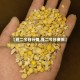 【豆二今日行情,豆二今日费用】