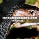 【德州地区有毒蛇嘛最近疫情,山东德州有什么蛇】