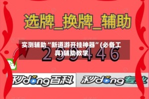 实测辅助“新道游开挂神器”(必备工具)辅助教学