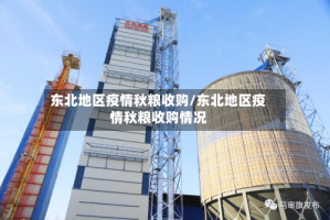 东北地区疫情秋粮收购/东北地区疫情秋粮收购情况