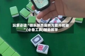 玩家必读“微乐陕西麻将万能开挂器”(必备工具)辅助教学